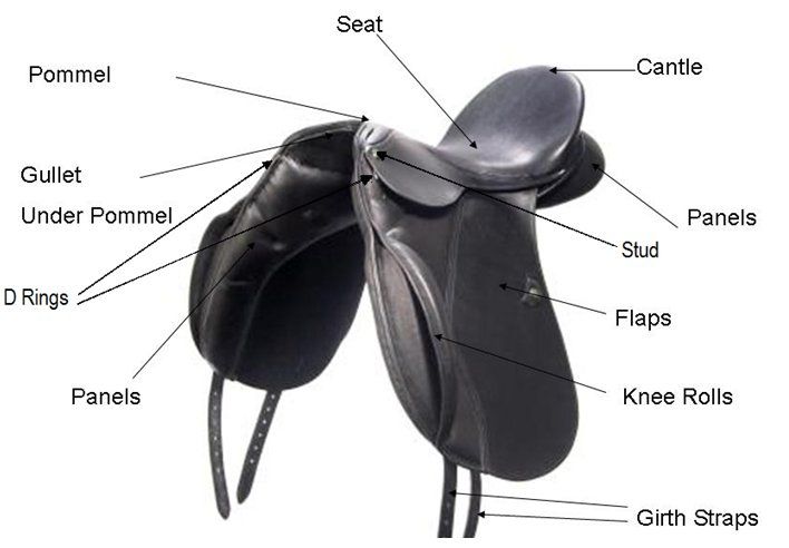 Adjustable Saddle Fitting Guide