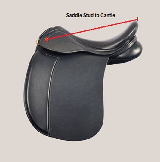 saddle stud to cantle