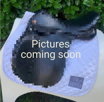 Kent & Masters 16.5” Pony Club GP (S3726)