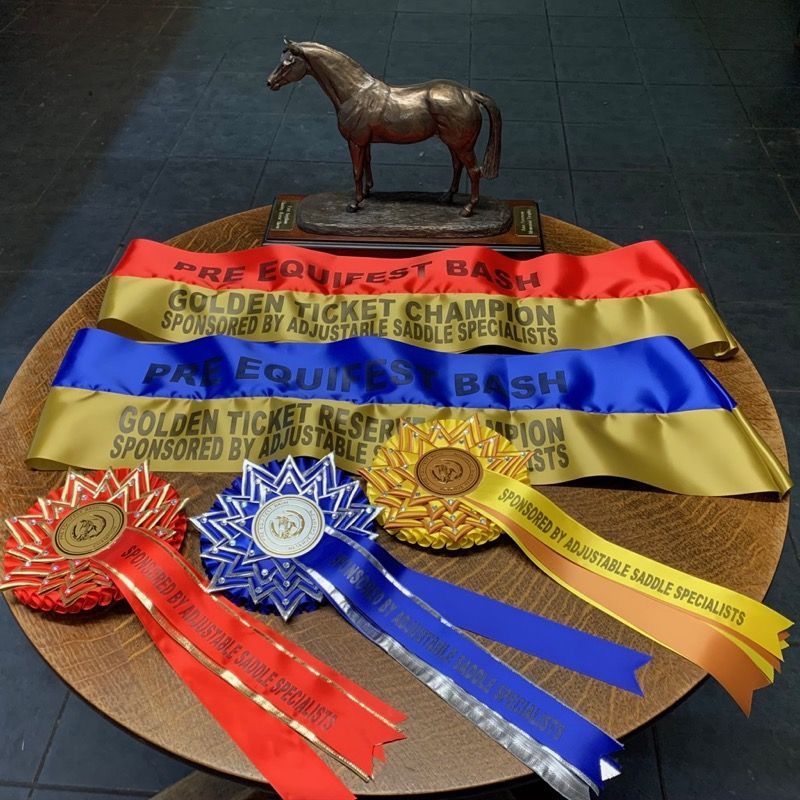 trophy and rosettes from Golden ticket show